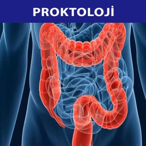 PROKTOLOJİ